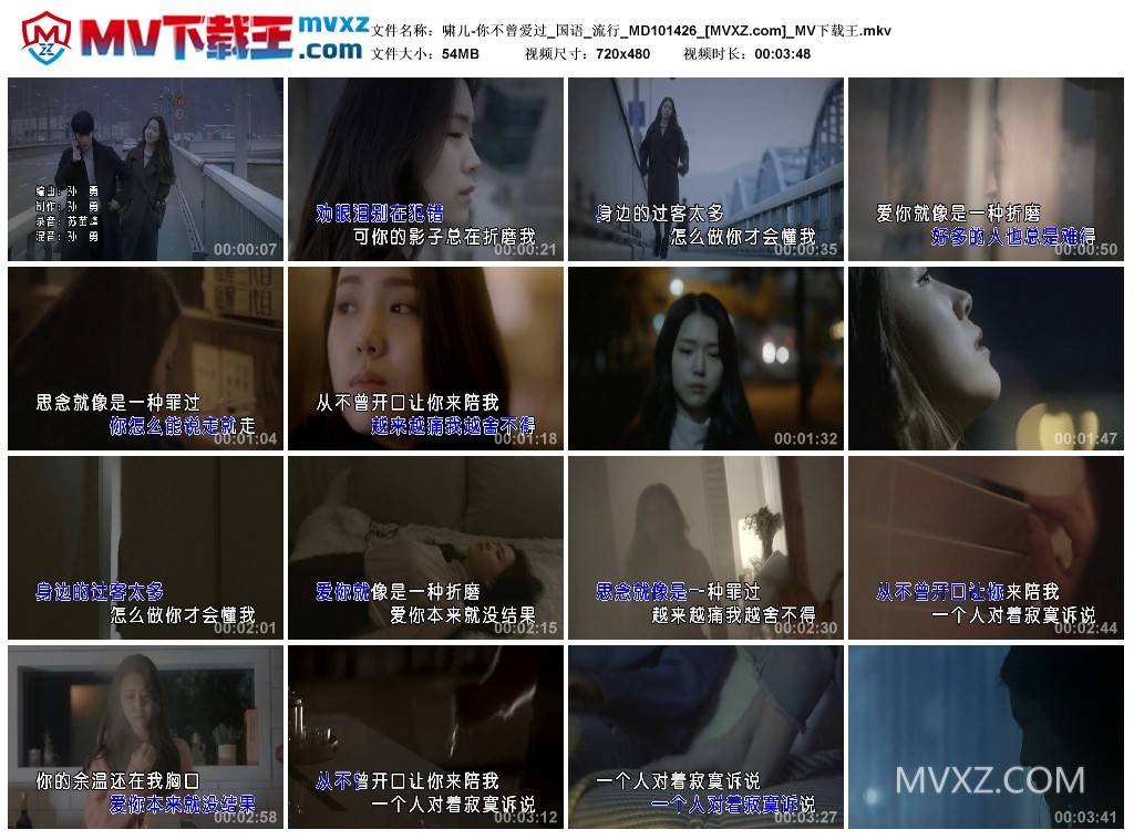 啸儿-你不曾爱过_国语_流行_MD101426